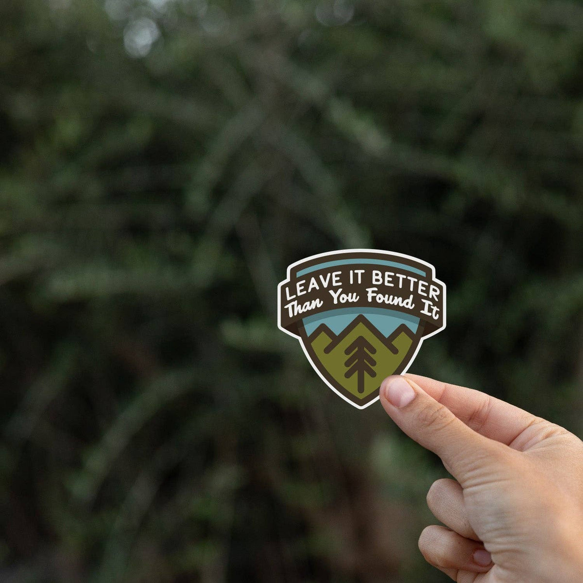 Fingertips balance the Leave It Better Than You Found It sticker against dark evergreen branches.