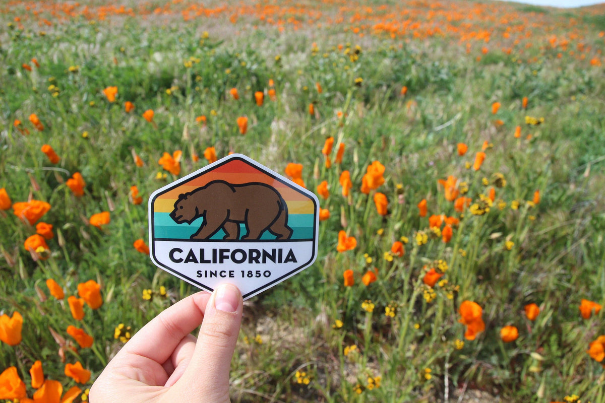 A hand lifts the California State Bear sticker above a hillside of orange poppies and grass.