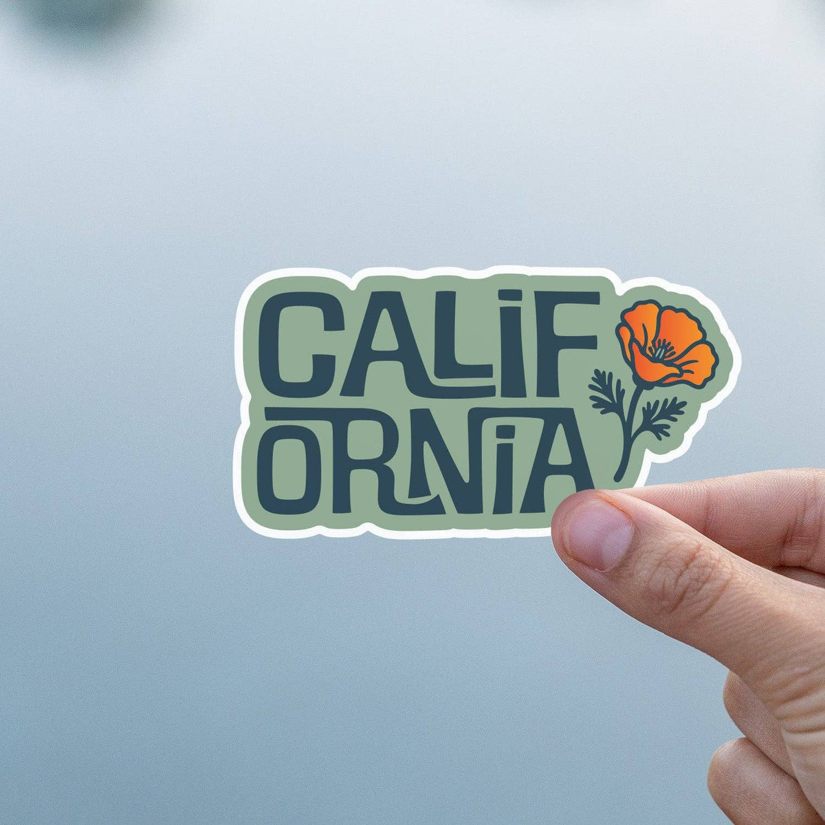Fingers press the California Poppy sticker onto pale blue glass, lettering clear against the smooth panel.