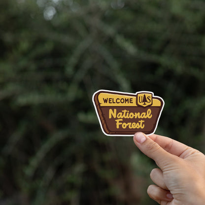 Held at arm's length before dark conifer branches, the National Forest Sign sticker catches the light.
