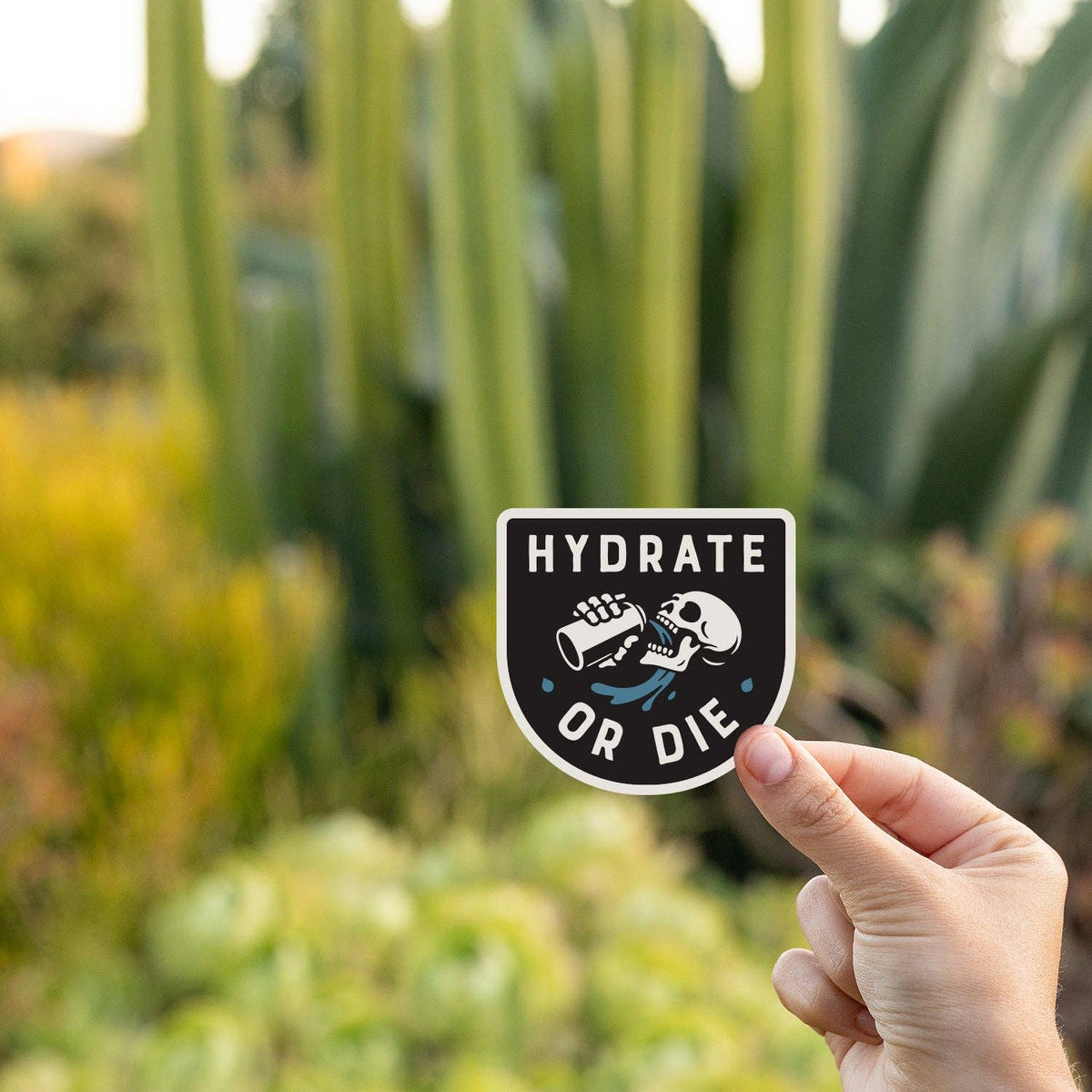Held before tall cactus and succulents at golden hour, the Hydrate or Die sticker faces the camera.