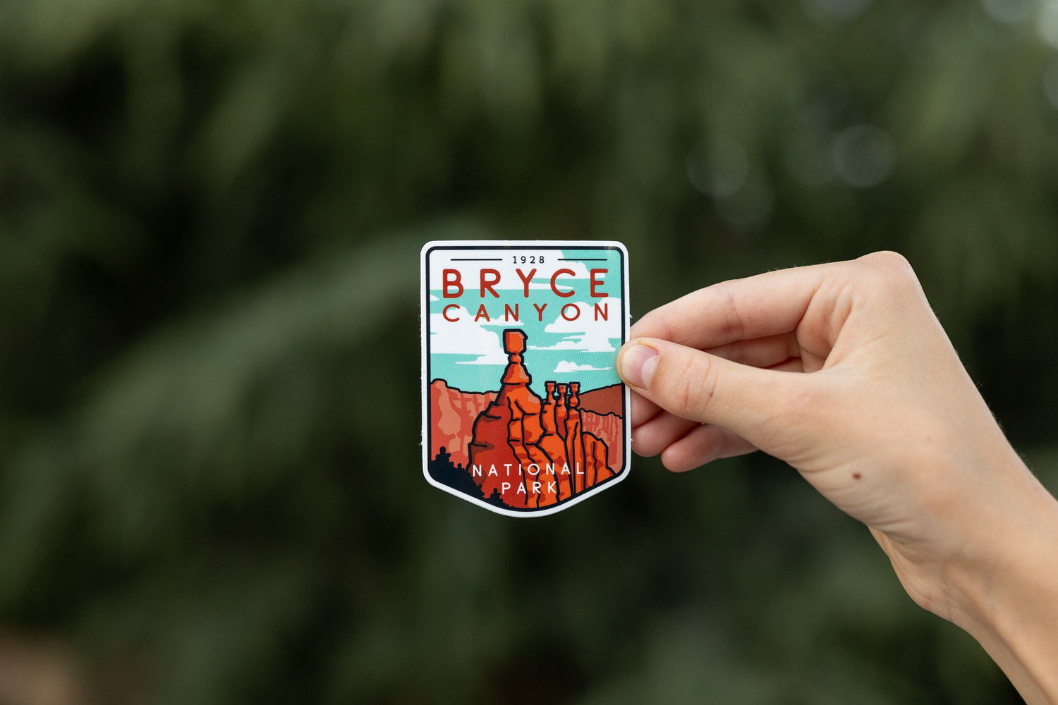 Held at arm's length by finger and thumb, the Bryce Canyon National Park sticker sits small before a dark pine.