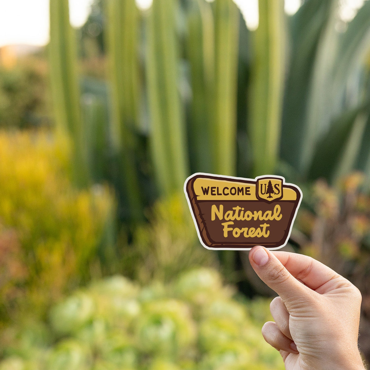 A hand holds the National Forest Sign sticker in front of tall cactus and succulents at golden hour.