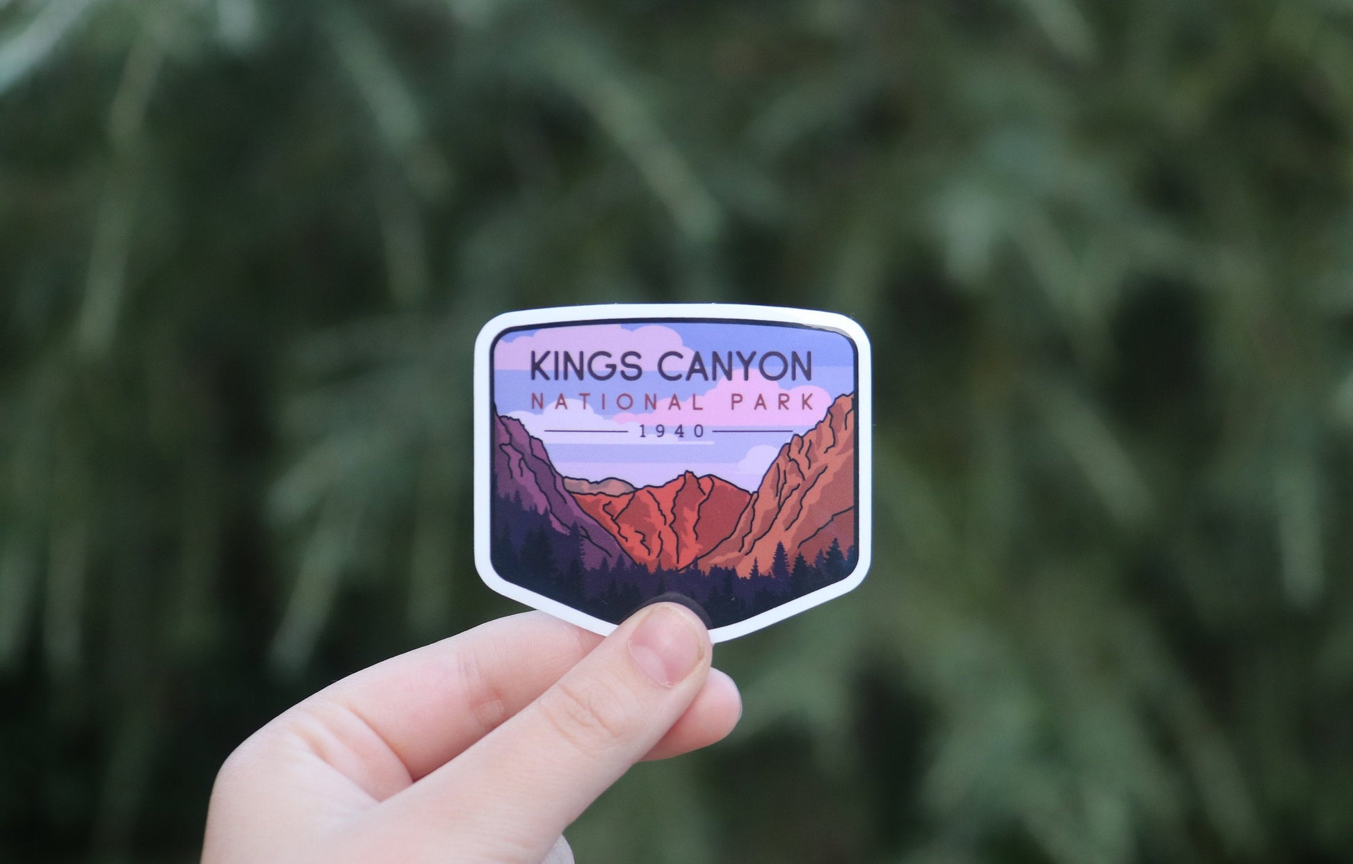 Backed off a step, the same Kings Canyon National Park sticker sits small in a hand before a wall of green branches.