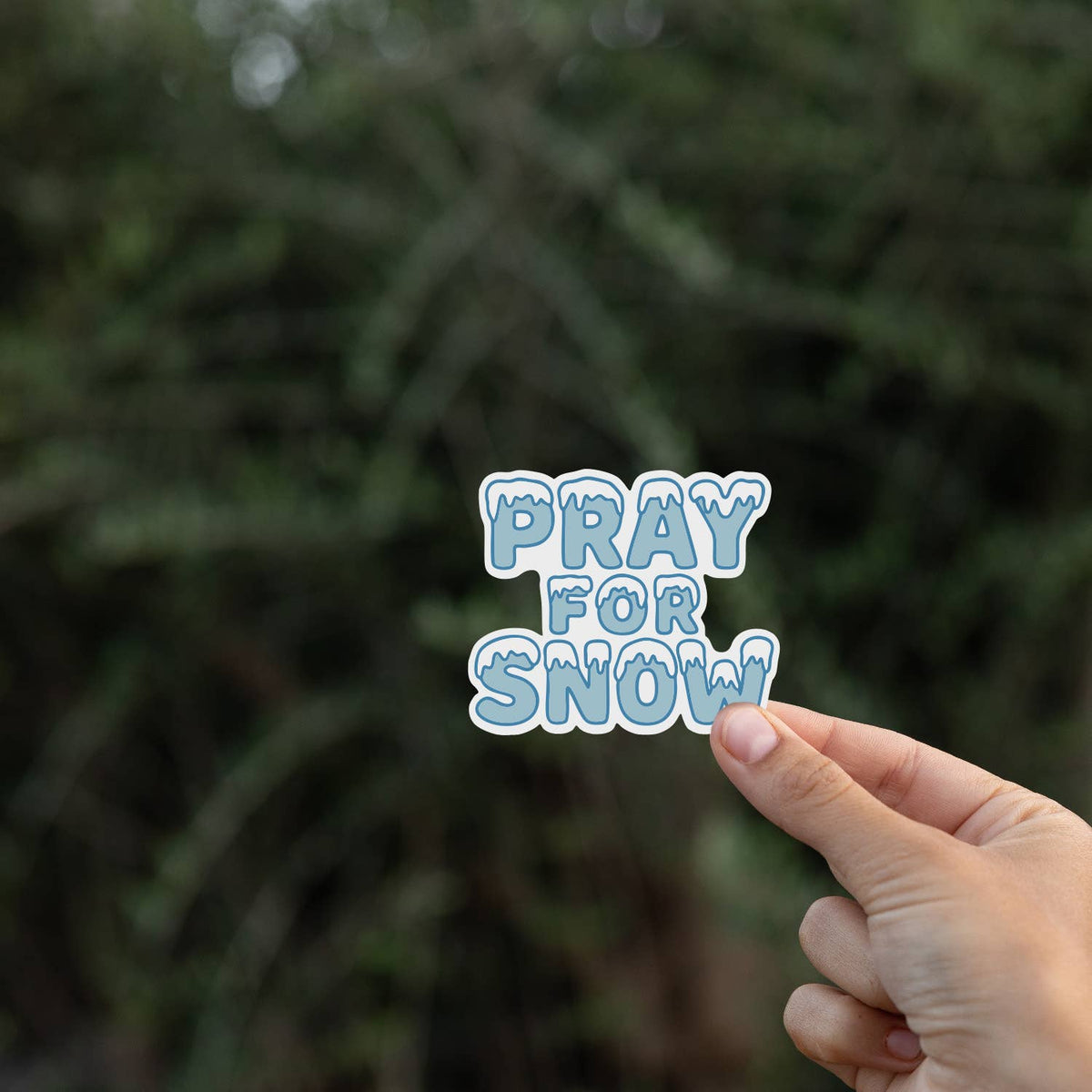 Farther from the same green branches, a hand pinches the smaller Pray For Snow sticker with no name drop.