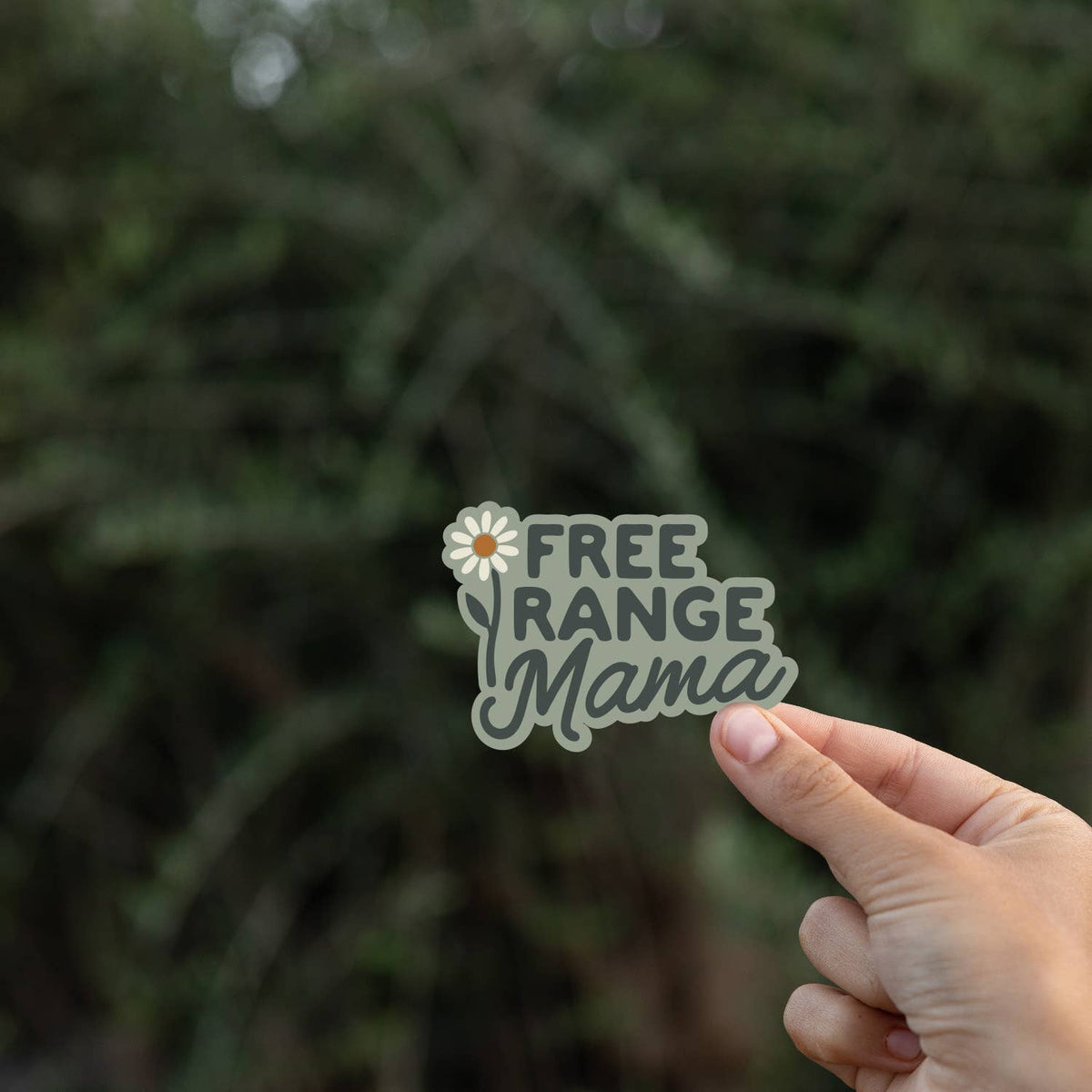 Fingers pinch the bottom corner of the Free Range Mama sticker in front of dark evergreen branches.