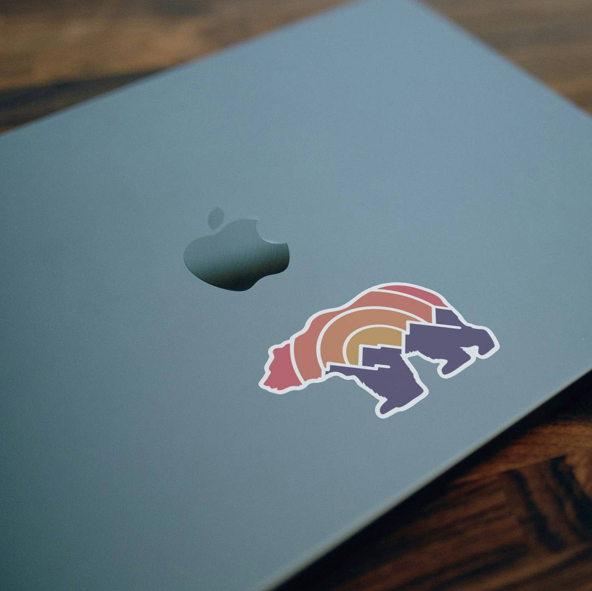 Stuck near the logo on a blue laptop lid, the Adventure Grizzly Bear sticker catches low indoor light.