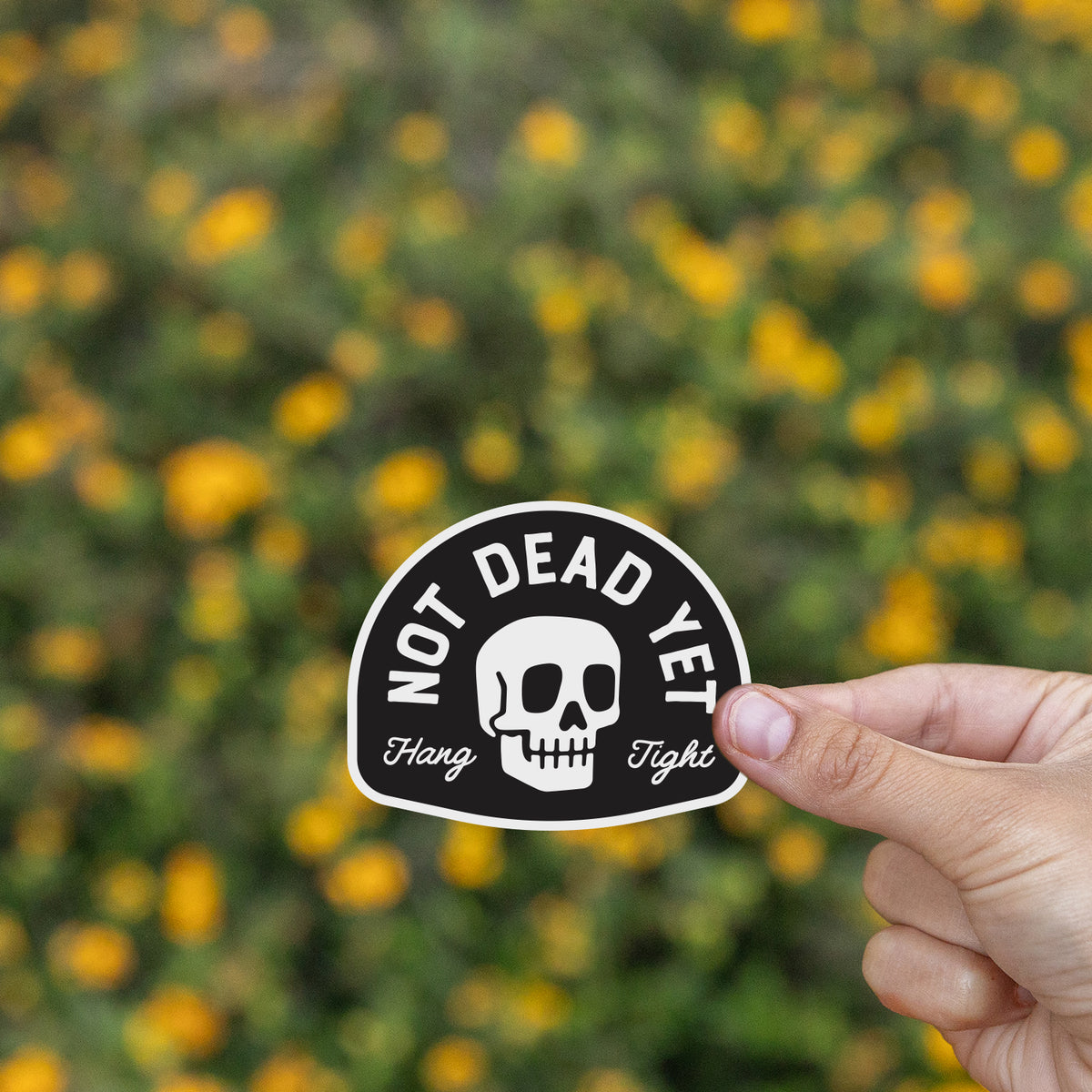 A hand pinches the Not Dead Yet sticker against a blurred field of yellow wildflowers.
