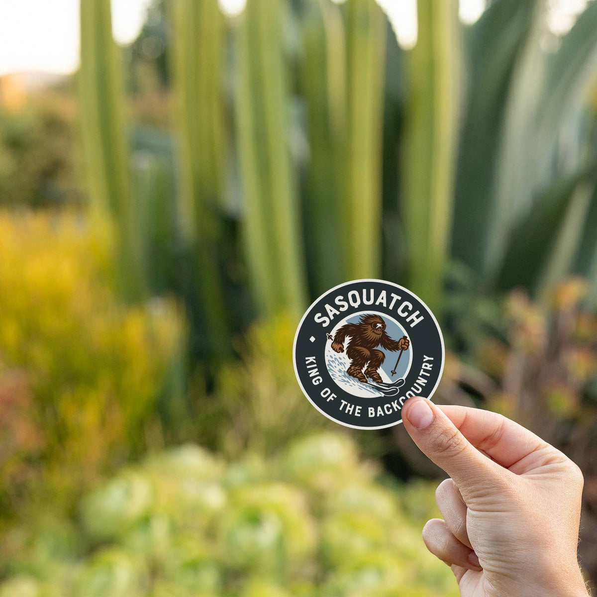 In front of tall cactus and succulents, a hand pinches the Sasquatch King of the Backcountry sticker.