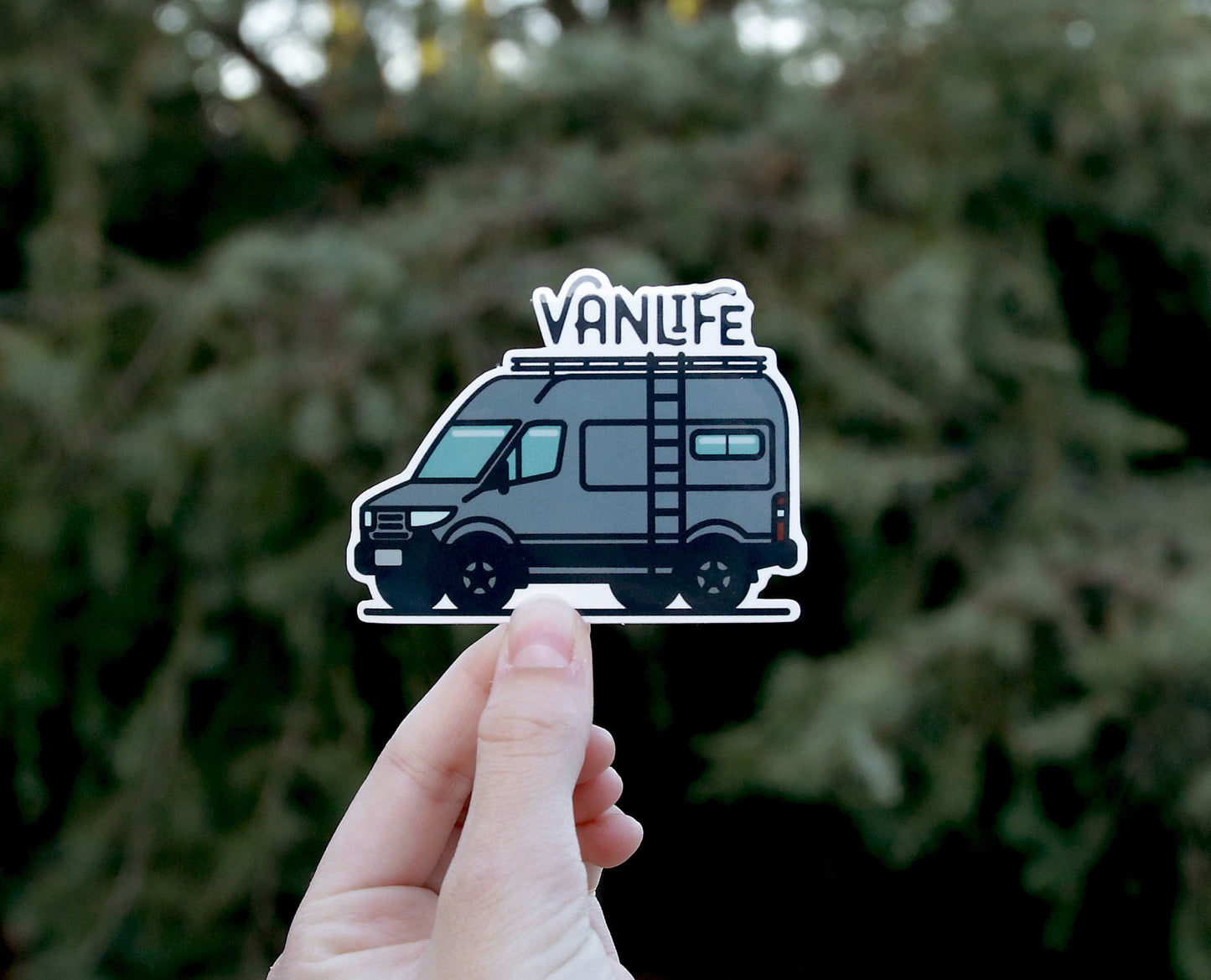 Fingers pinch the Vanlife Sprinter sticker at arm's length, van and script lettering set against soft green needles.