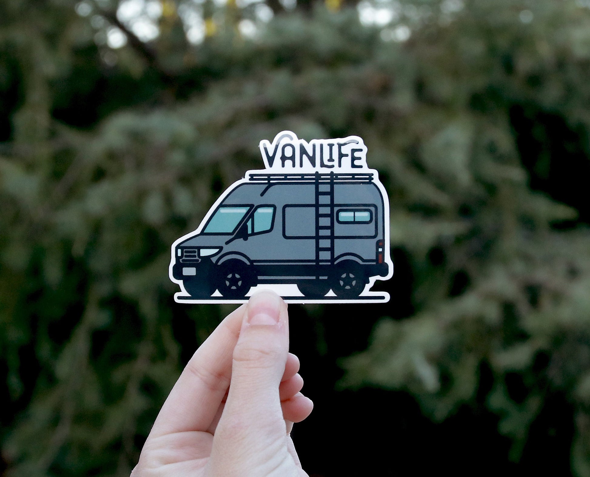 Fingers pinch the Vanlife Sprinter sticker at arm's length, van and script lettering set against soft green needles.