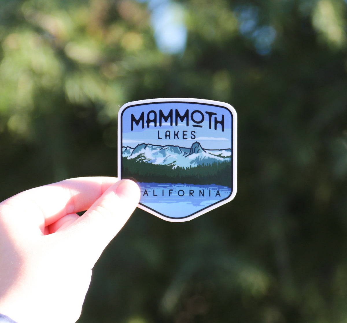 Shaded by trees, the Mammoth Lakes sticker sits pinched between finger and thumb with California lettering showing.