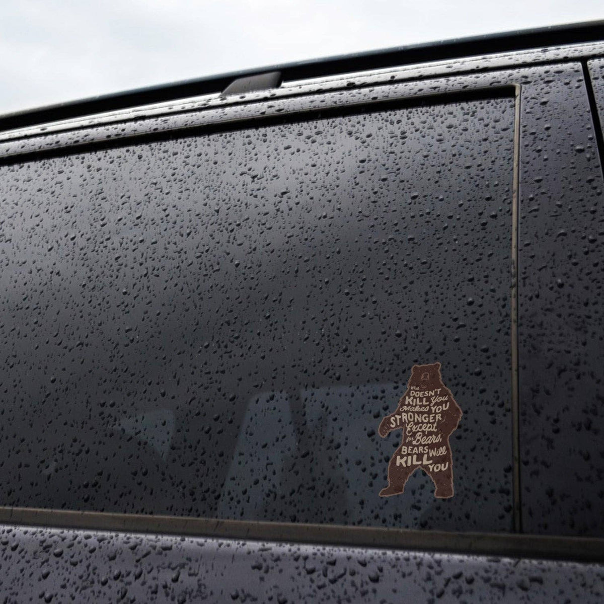 Rain beads across a car window where the Bears Will Kill You sticker clings near the door frame.