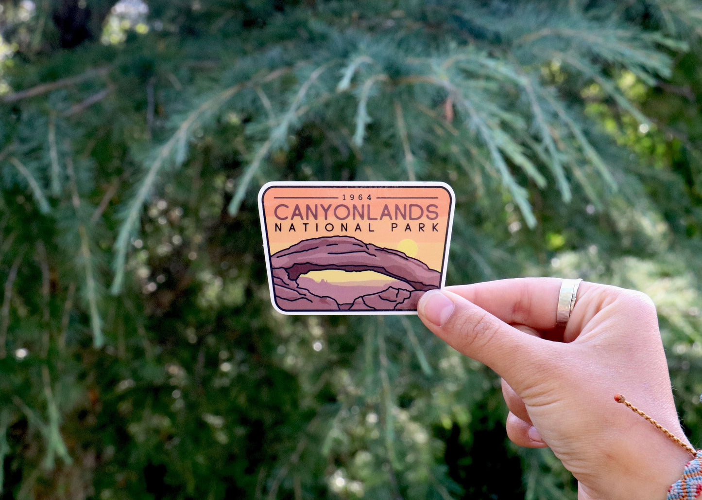 Held further back beneath drooping cedar branches, the Canyonlands National Park sticker shows its 1964 date line.