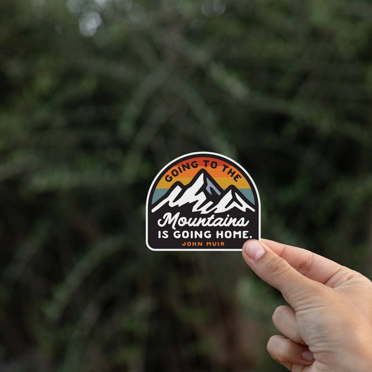 Held up against dark evergreen branches, the Going to the Mountains is Going Home sticker catches soft daylight.