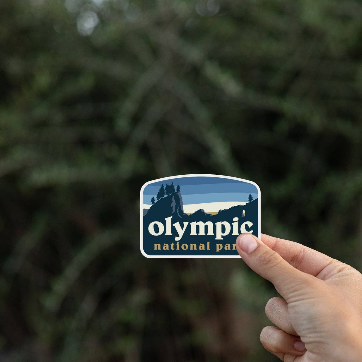 Fingers hold the Olympic National Park sticker in front of blurred dark evergreen branches.