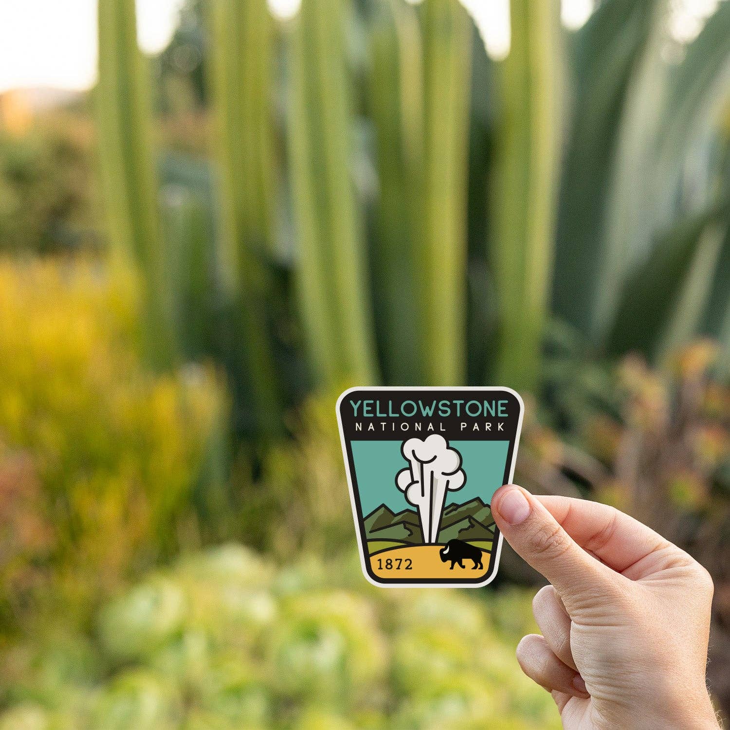 Backed by tall cactus and golden grass, the Yellowstone National Park sticker is held in evening light.