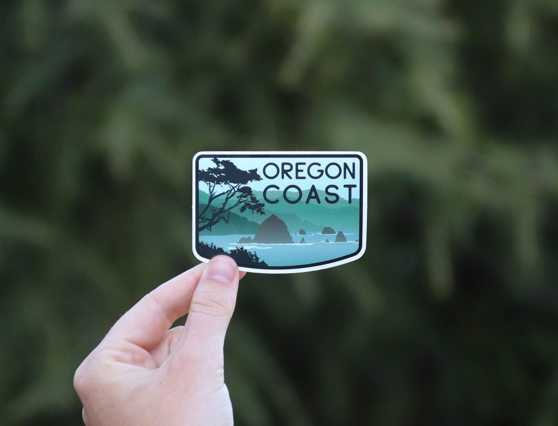 Fingers pinch the Oregon Coast sticker at arm's length, small against a wall of dark evergreen branches.