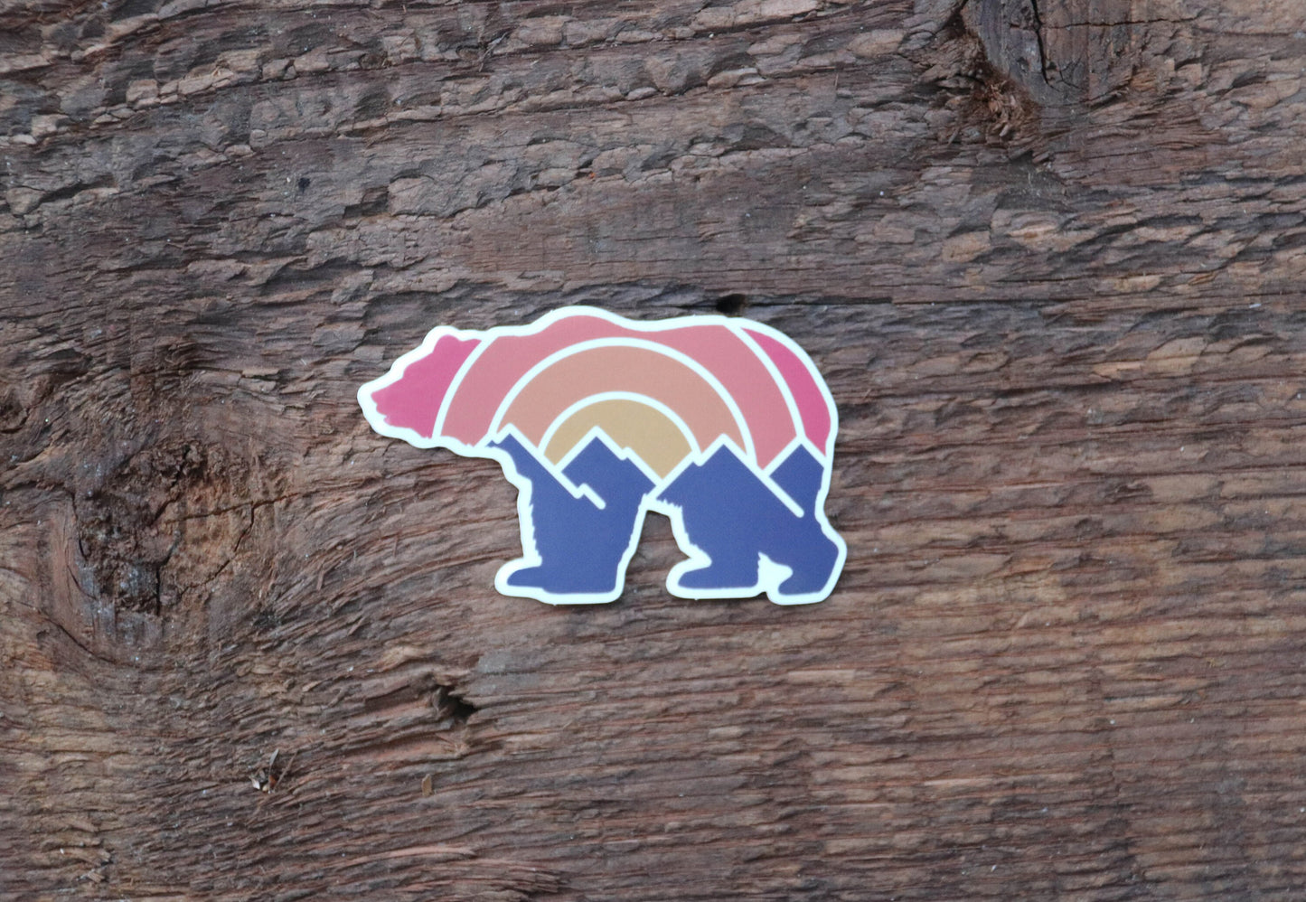 Pressed flat on weathered brown wood, the Adventure Grizzly Bear sticker shows its pink and blue tones.