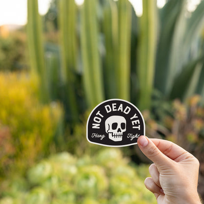 Fingers hold the Not Dead Yet sticker up in front of tall agave spikes in golden evening light.