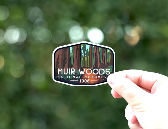 A hand holds the Muir Woods National Monument sticker with its redwood trunks against blurred green foliage.