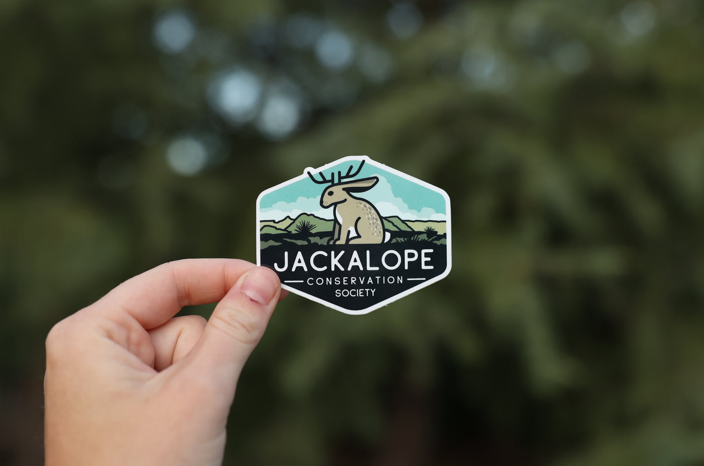 4 Jackalope Stickers