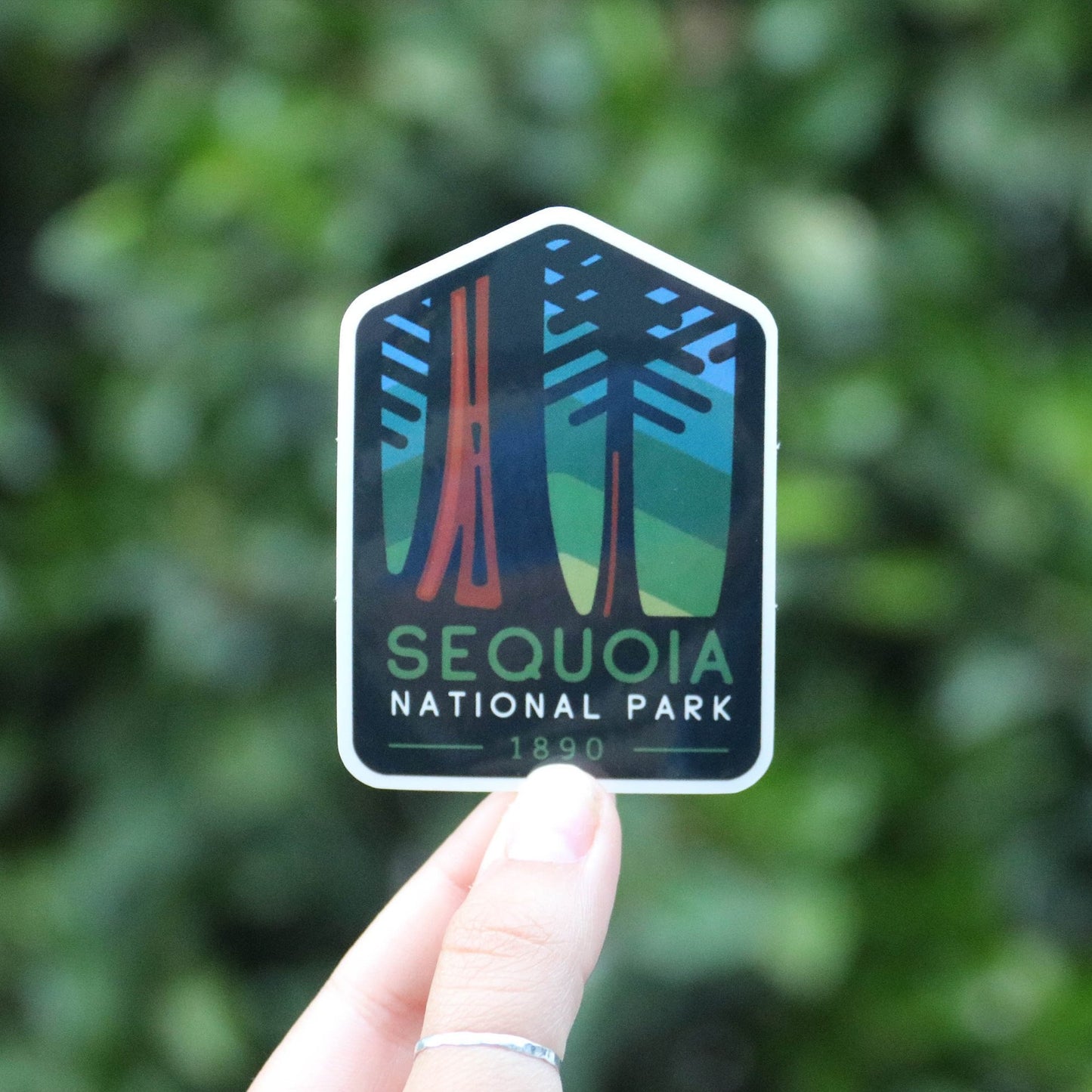 Sequoia National Park Sticker