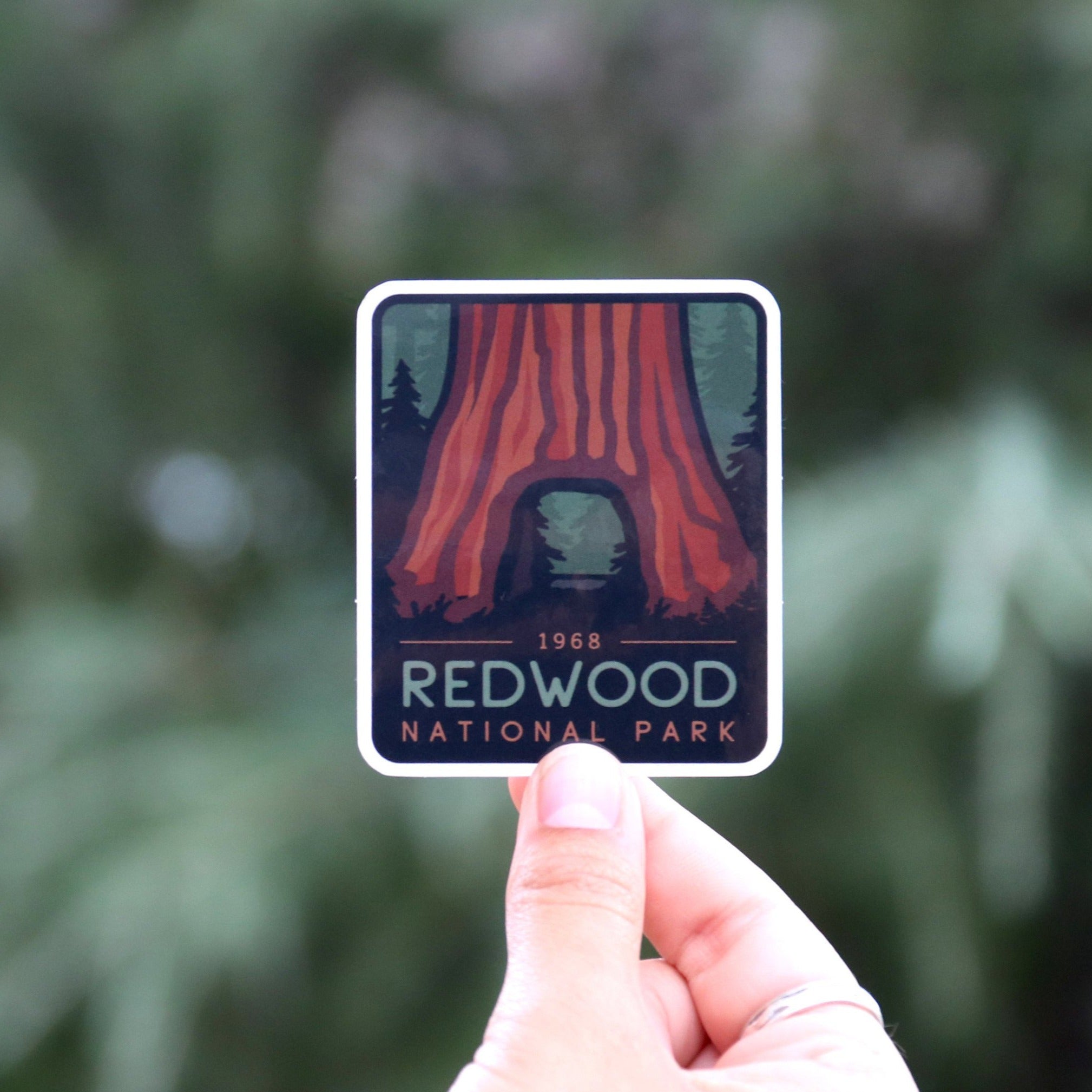 Redwoods National Park Sticker – Squatchy.com