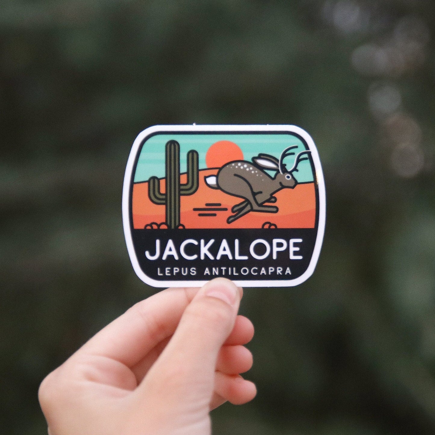 Jackalope Lepus Antilocapra Sticker